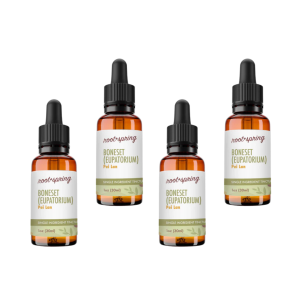 image of Boneset Tincture 4pk