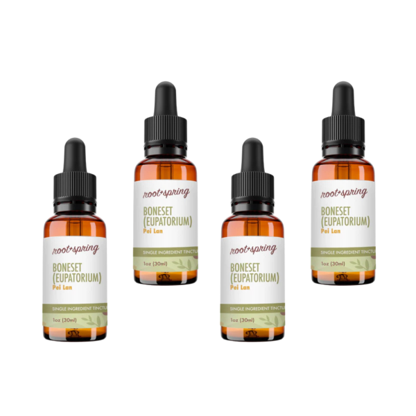 image of Boneset Tincture 4pk