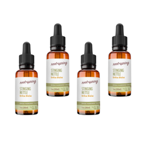 image of STINGING NETTLE Tincture 4pk