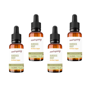 image of burdock root Tincture 4pk