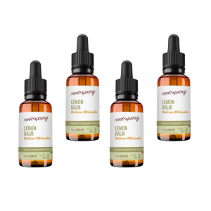 image of lemon balm Tincture 4pk