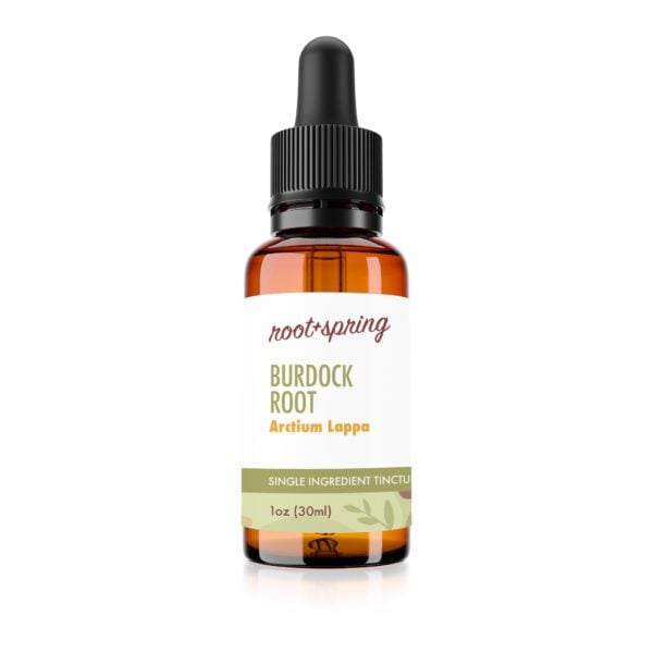 root and spring burdock root liquid tincture bottle, one fluid ounce, thirty milliliters
