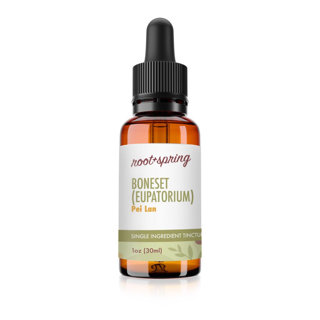 Image of root and spring boneset liquid tincture bottle, one fluid ounce, thirty milliliters