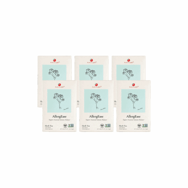 Image of AllergEase Herb Tea - by Health King - 6-pack