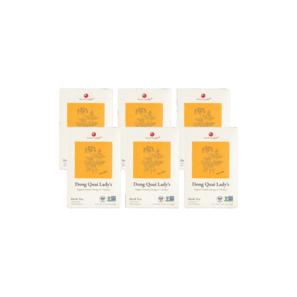 Image of Dong Quai Lady's Herb Tea - by Health King- 6-pack