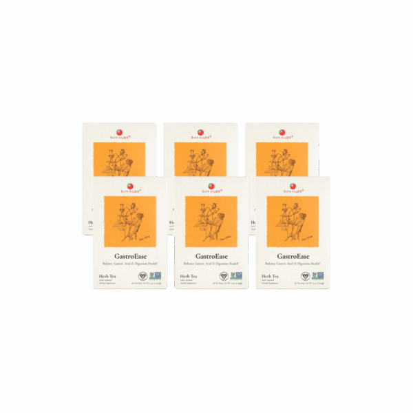 Image of GastroEase Herb Tea - by Health King - 6-pack