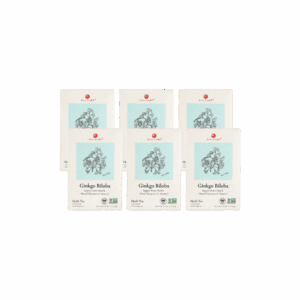 Image of Ginkgo Biloba Herb Tea - by Health King - 6-pack