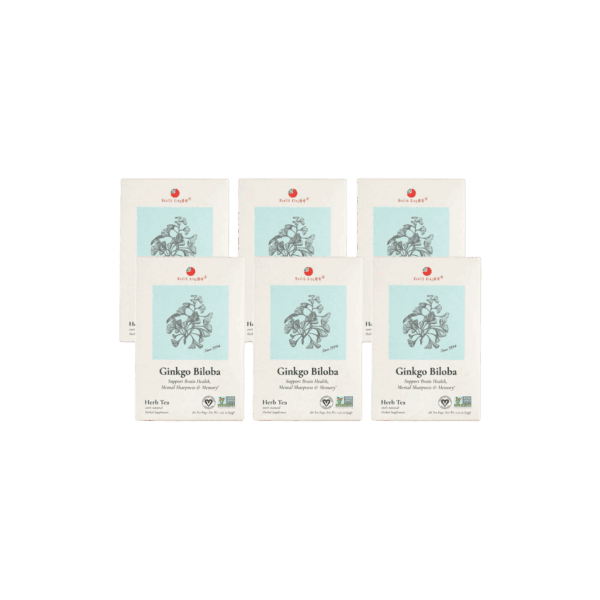 Image of Ginkgo Biloba Herb Tea - by Health King - 6-pack