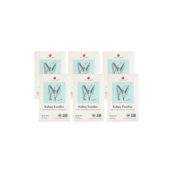 Image of Kidney Fortifier Herb Tea - by Health King - 6-pack