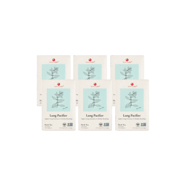 Image of Lung Pacifier Herb Tea - by Health King - 6-pack