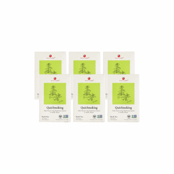 Image of Quit Smoking Herb Tea - by Health King - 6-pack