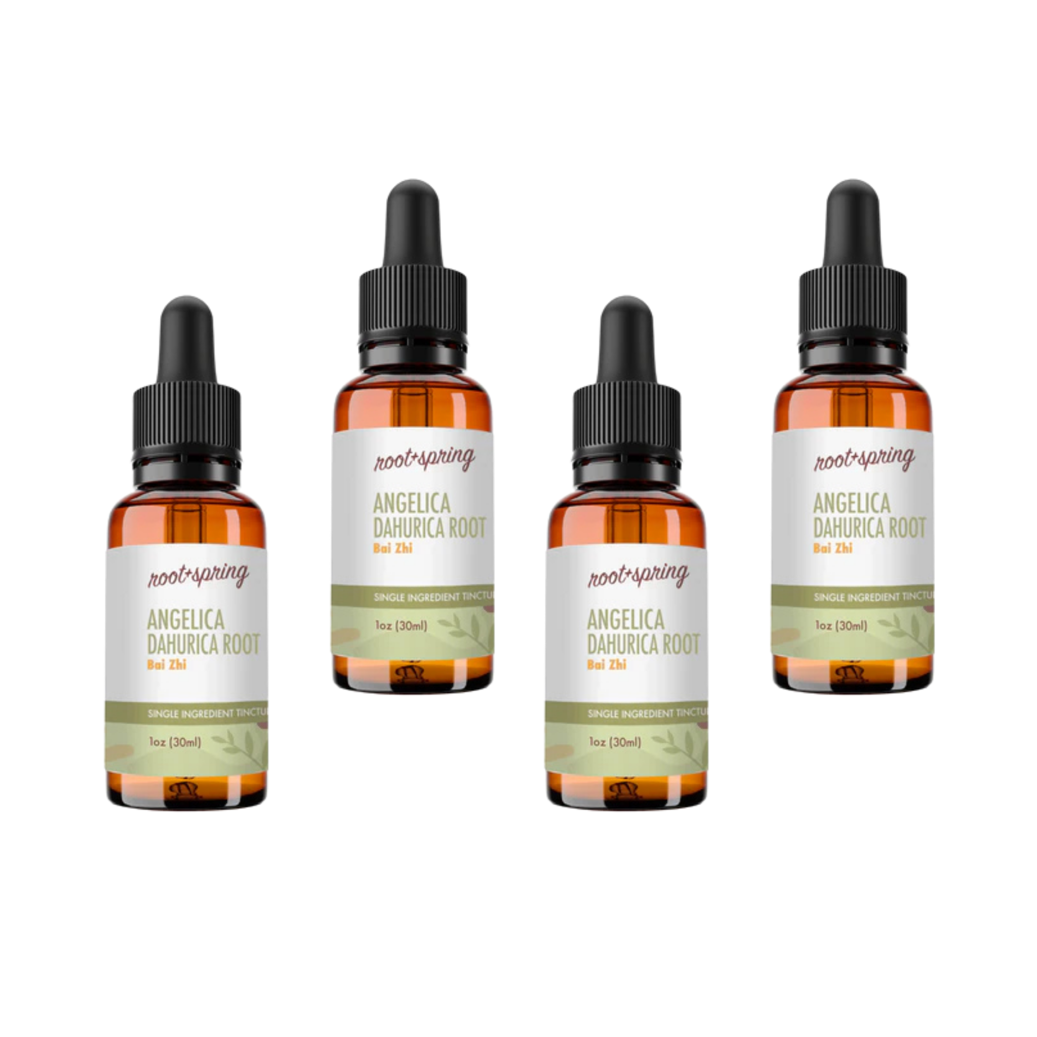 image of Angelica Dahurica Tincture 4pk