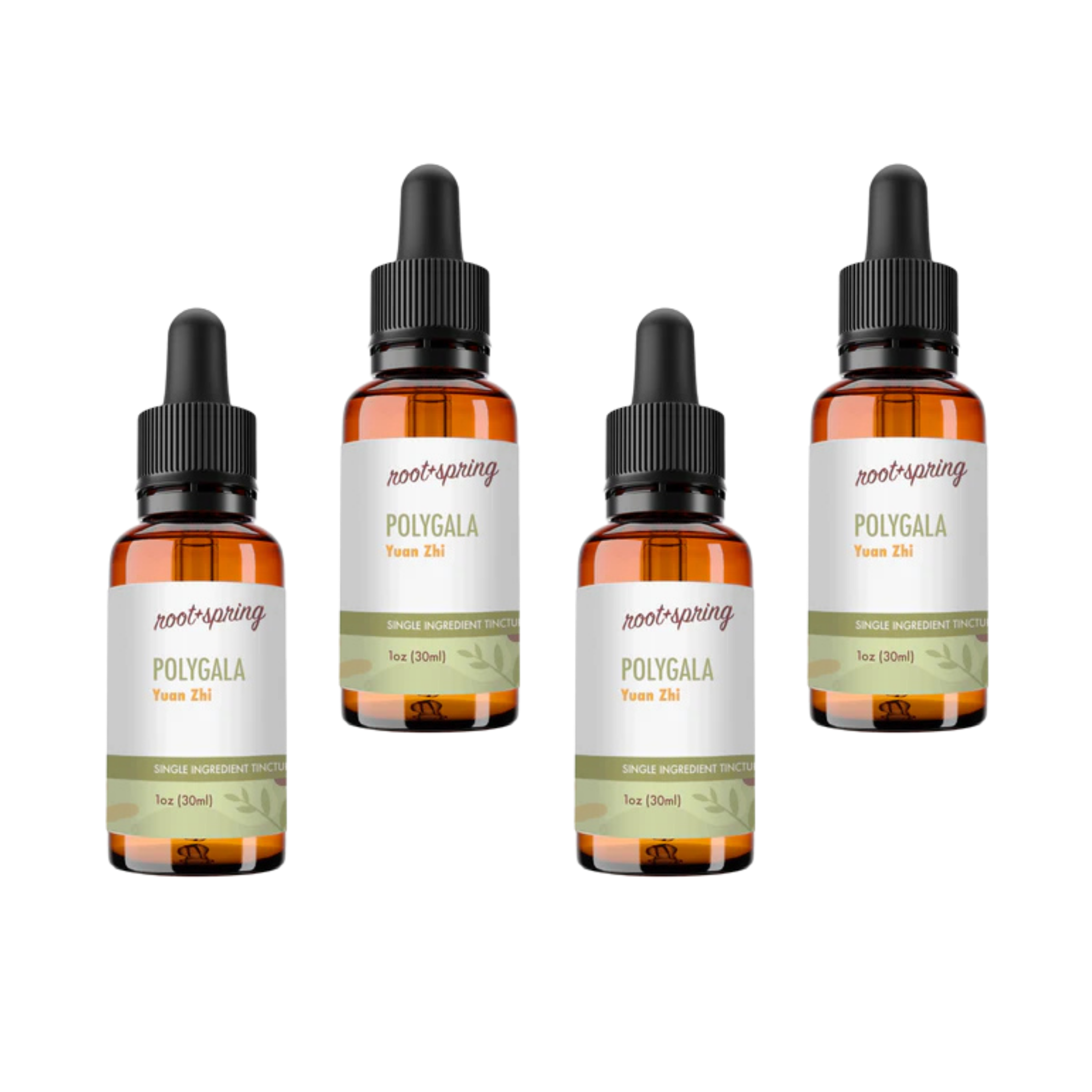 image of POLYGALA Tincture 4pk