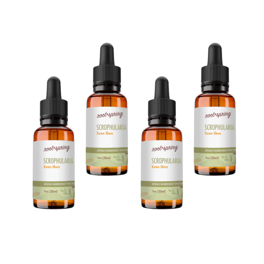 image of SCROPHULARIA Tincture 4pk