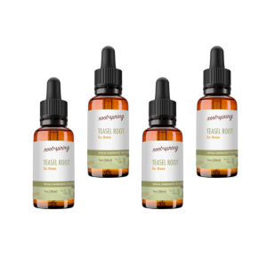 image of TEASEL ROOT Tincture 4pk
