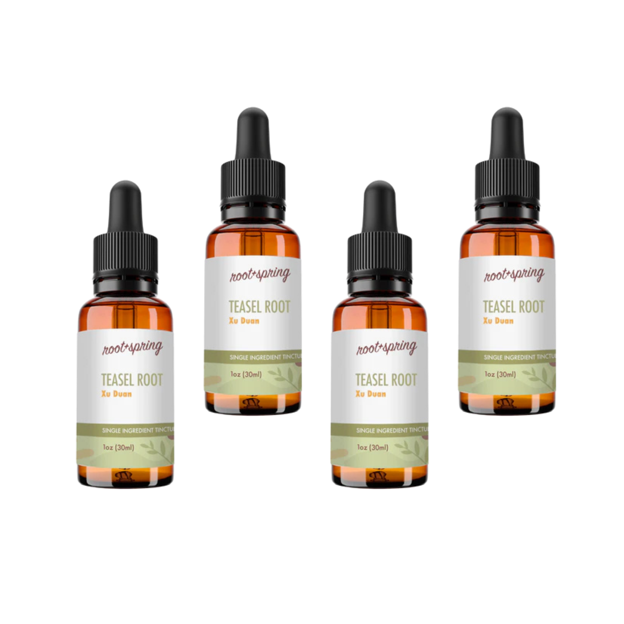 image of TEASEL ROOT Tincture 4pk