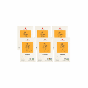 Image of Stamina Herb Tea - by Health King - 6-pack