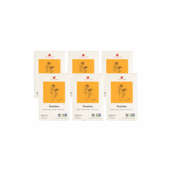 Image of Stamina Herb Tea - by Health King - 6-pack