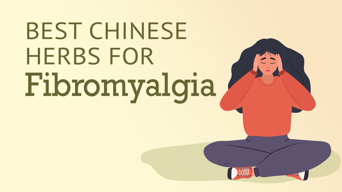 Best Chinese Herbs for Fibromyalgia
