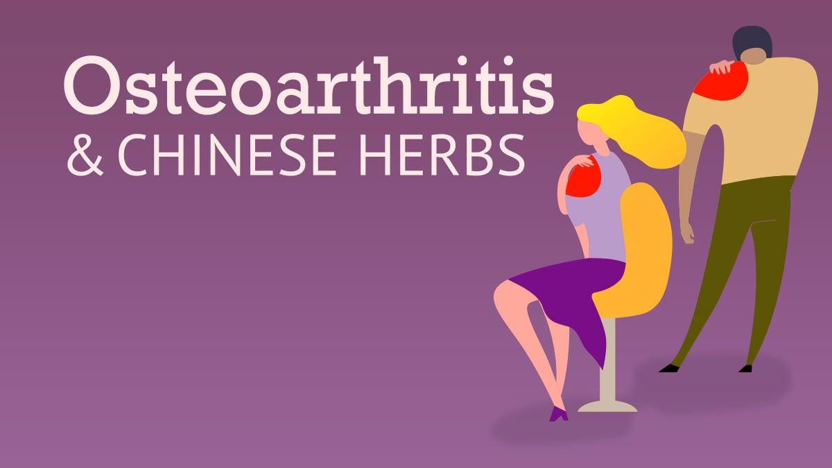 The Best Chinese Herbs for Osteoarthritis