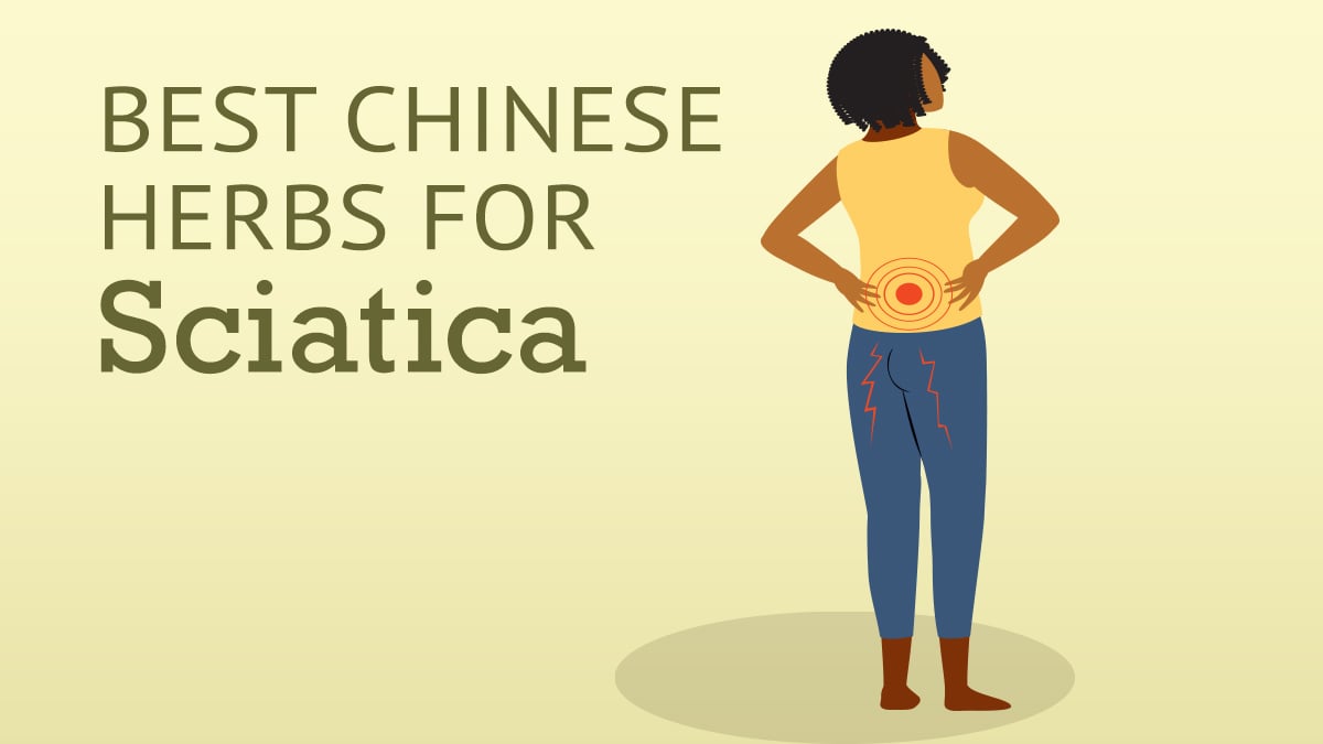 Best Chinese Herbs for Sciatica