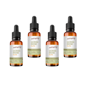 image of gastrodia rhizome Tincture 4pk
