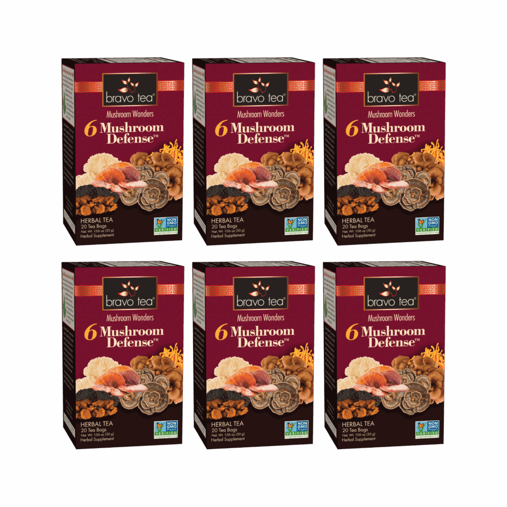 Image of 6 Mushroom Defense Tea - by Bravo Tea - Single