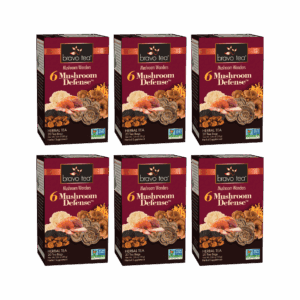 Image of 6 Mushroom Defense Tea - by Bravo Tea - Single