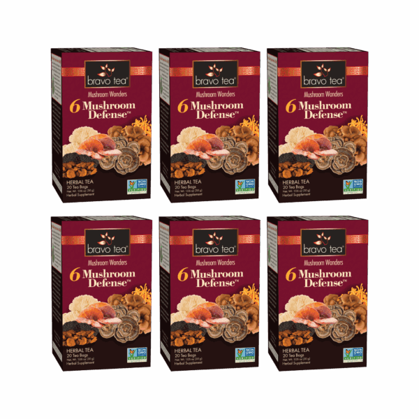 Image of 6 Mushroom Defense Tea - by Bravo Tea - Single