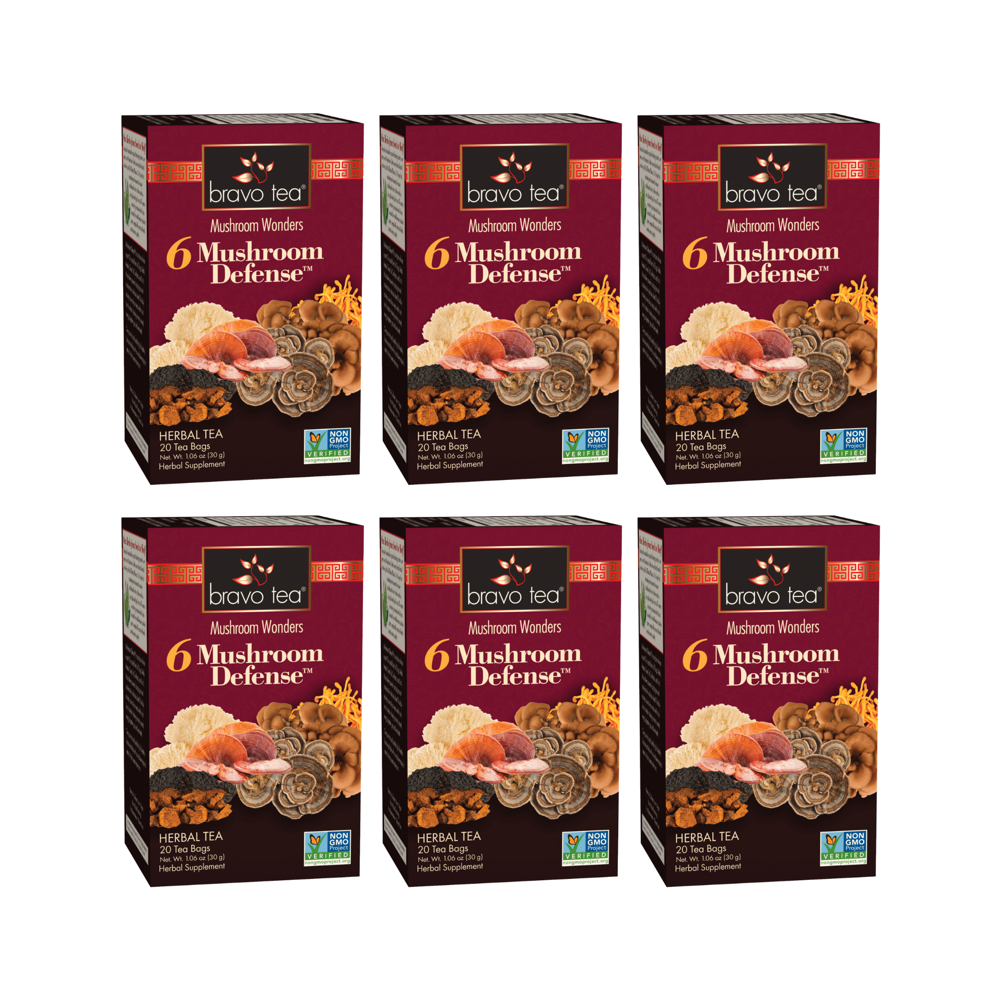Image of 6 Mushroom Defense Tea - by Bravo Tea - Single