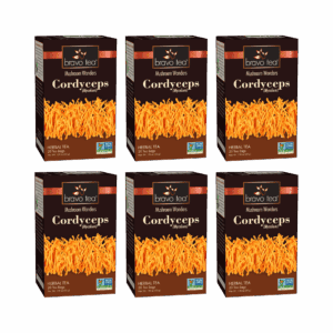 Image of Cordecyps Mushroom Tea - by Bravo Tea - 6 pk