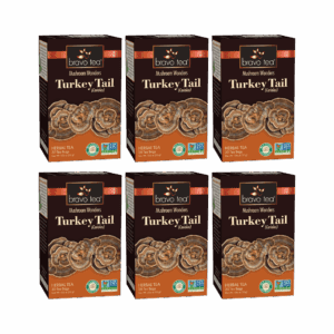 Image of Turkey Tail Mushroom Tea - by Bravo Tea - 6pk