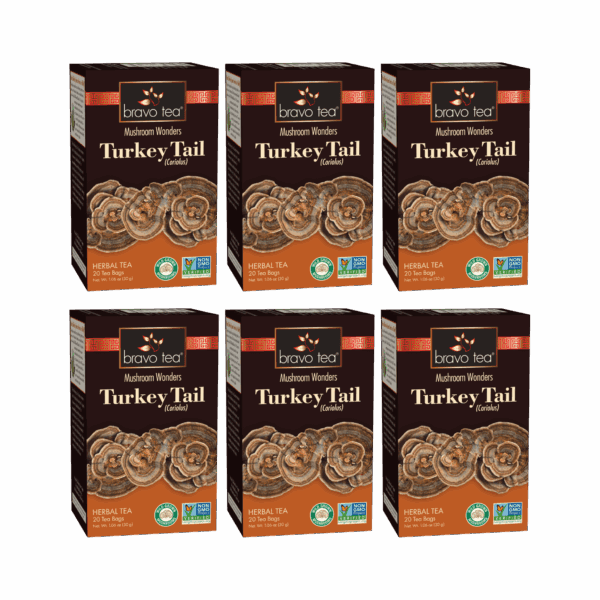 Image of Turkey Tail Mushroom Tea - by Bravo Tea - 6pk