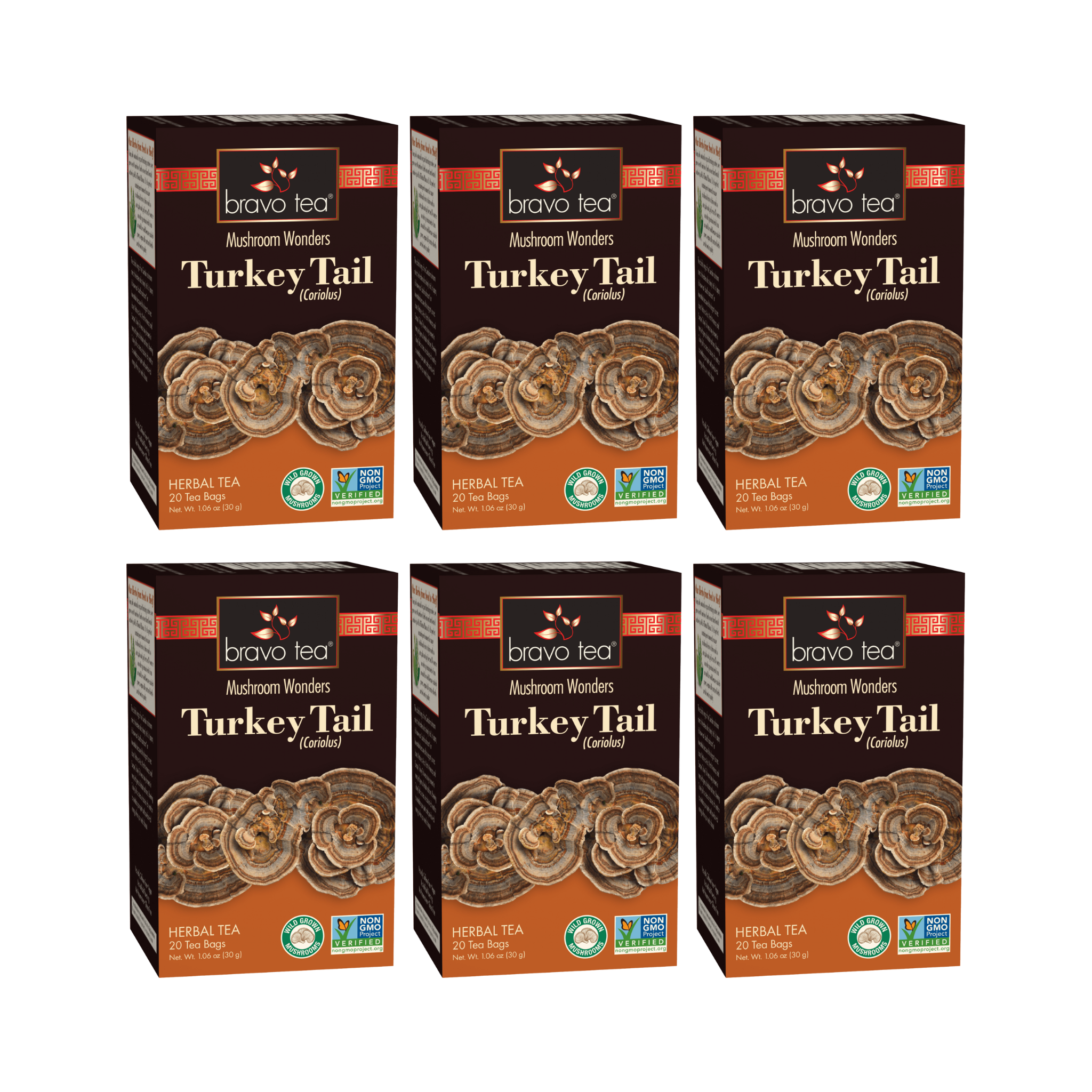 Image of Turkey Tail Mushroom Tea - by Bravo Tea - 6pk