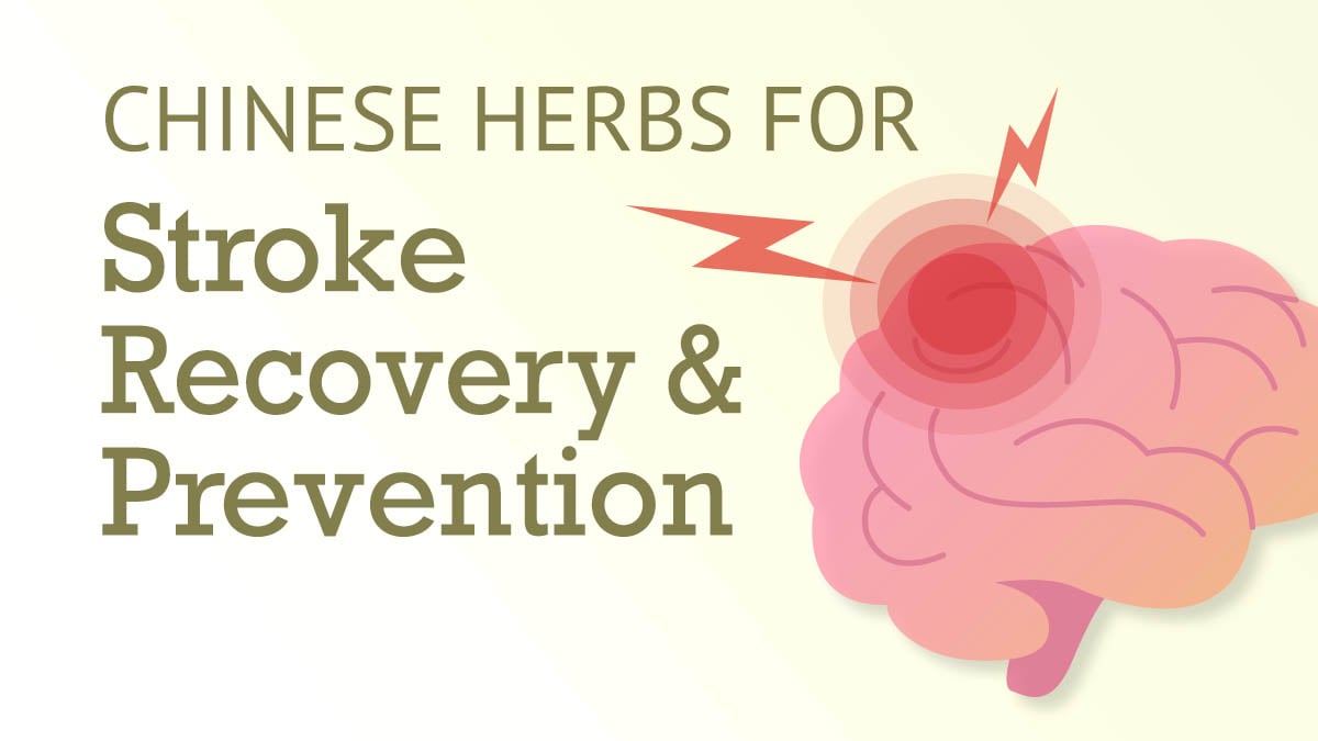 Chinese Herbs for Stroke Recovery and Prevention