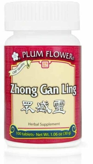 Plum Flower - Zhong Gan Ling