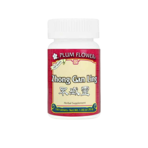 Image of Plum Flower – Zhong Gan Ling