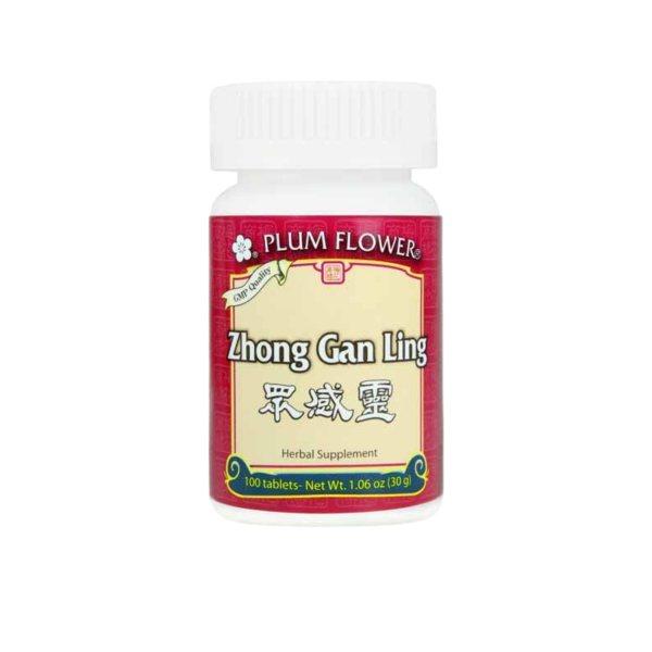 Image of Plum Flower – Zhong Gan Ling