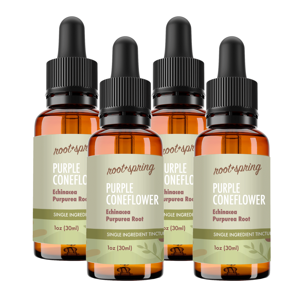 image of Purple Coneflower 4pk
