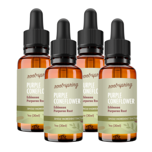 image of Purple Coneflower 4pk