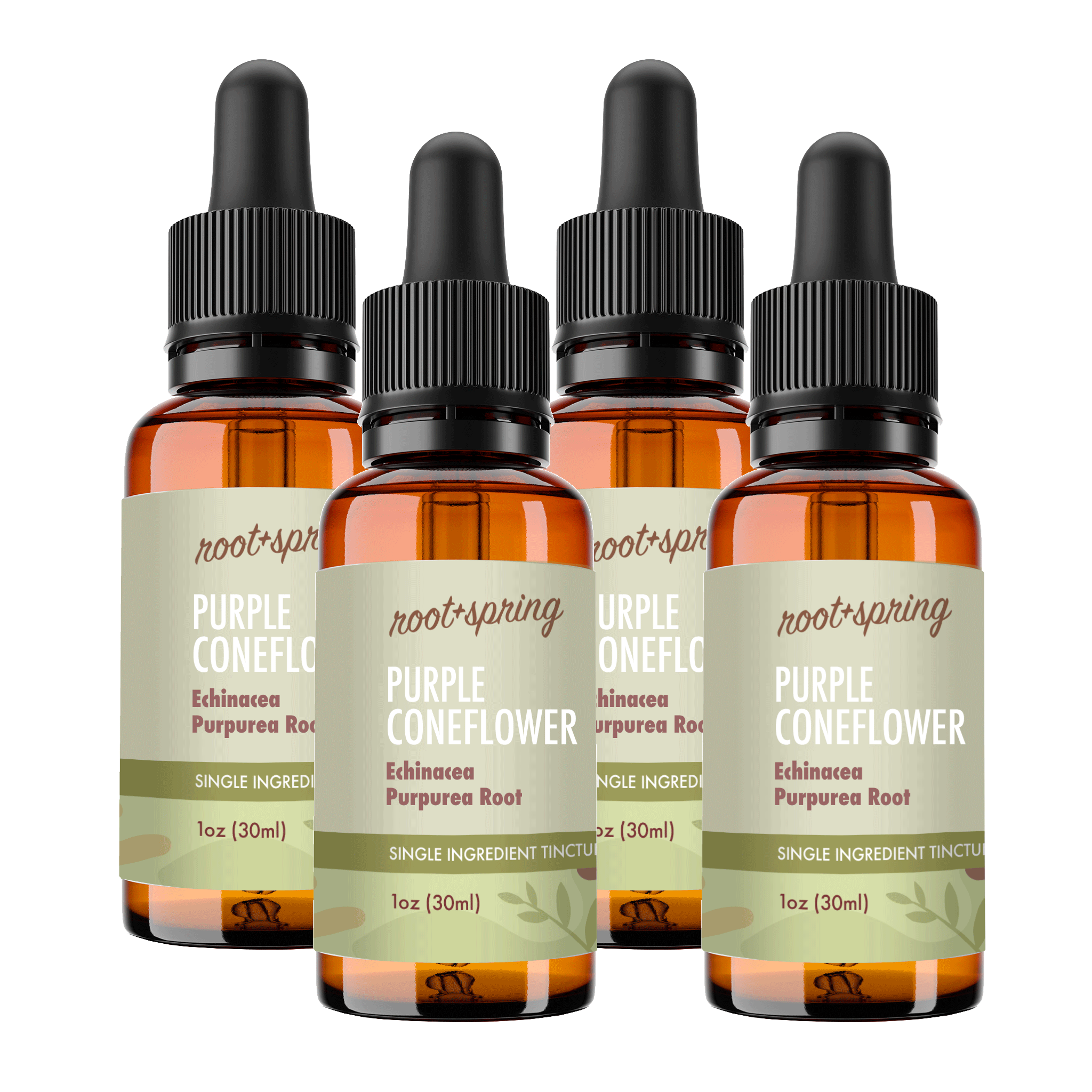 image of Purple Coneflower 4pk