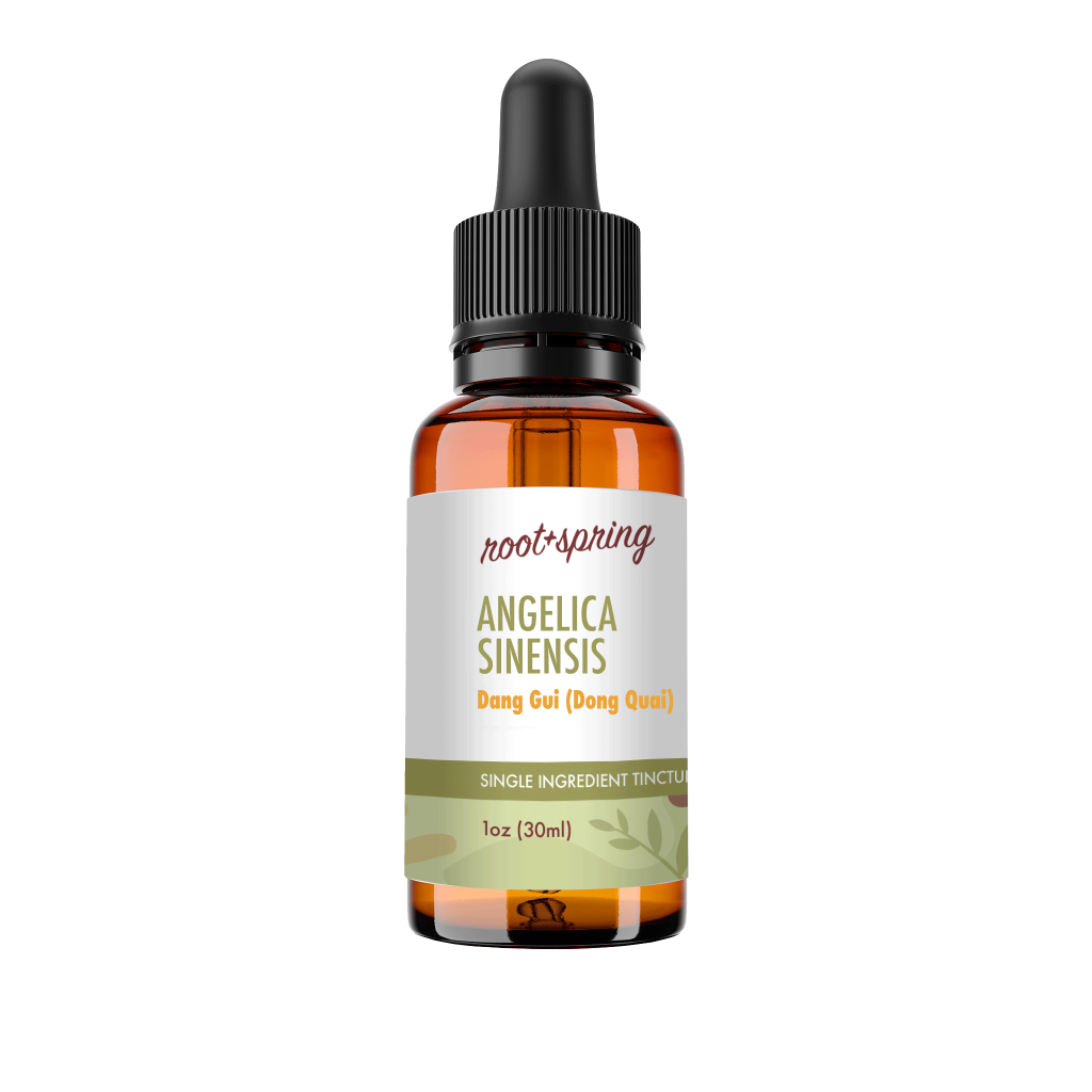 image of Dang Gui / Dong Quai (Angelica Sinensis) – Liquid Extract (Tincture)