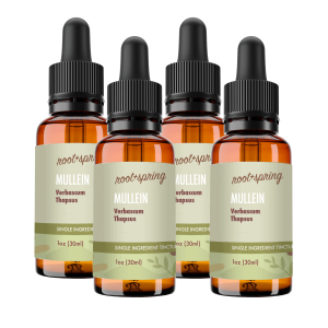 image of Mullein 4pk