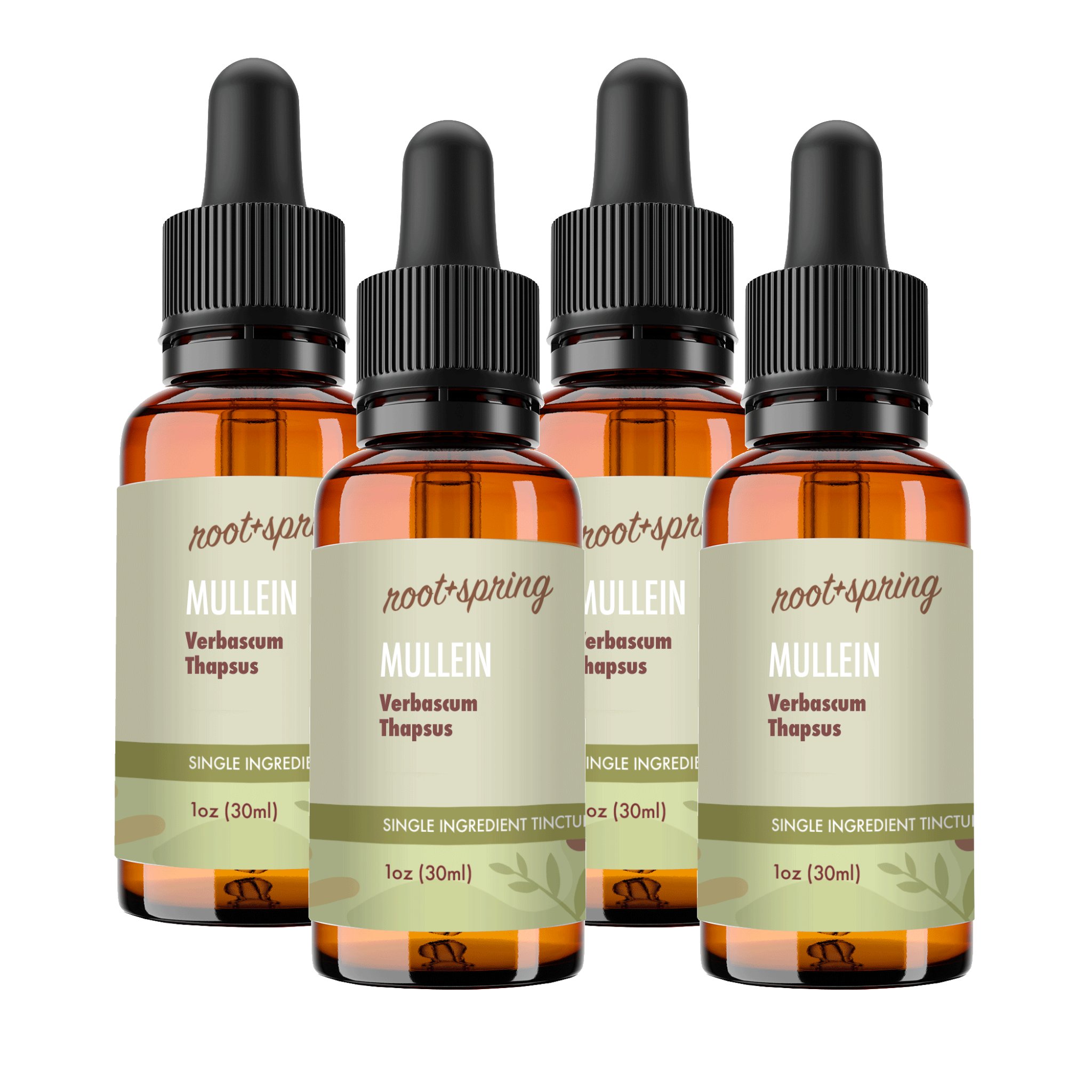 image of Mullein 4pk
