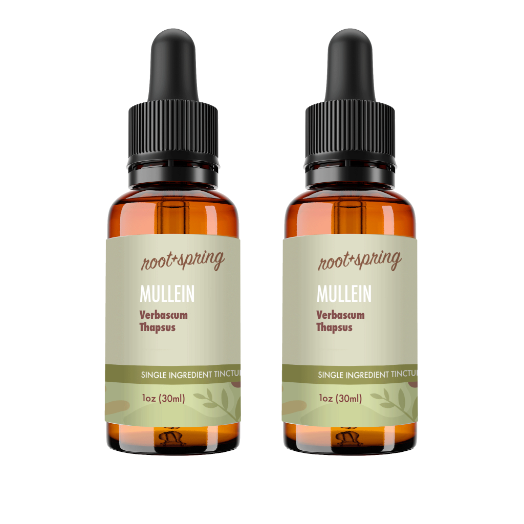 image of Mullein 2pk