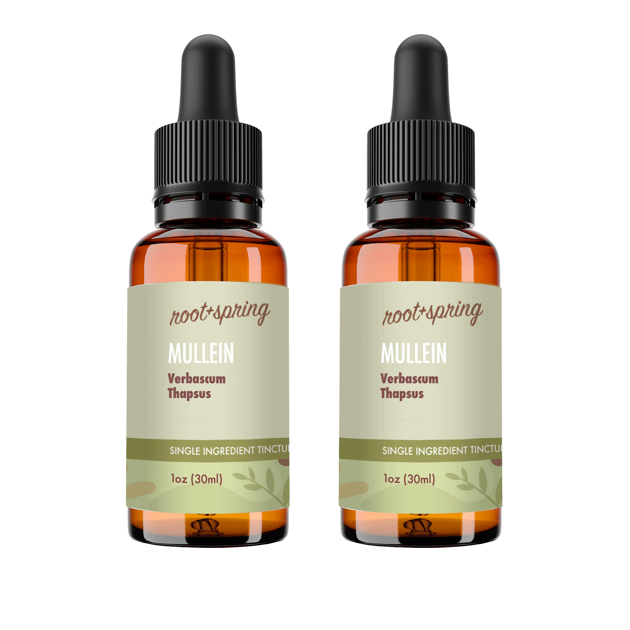image of Mullein 2pk