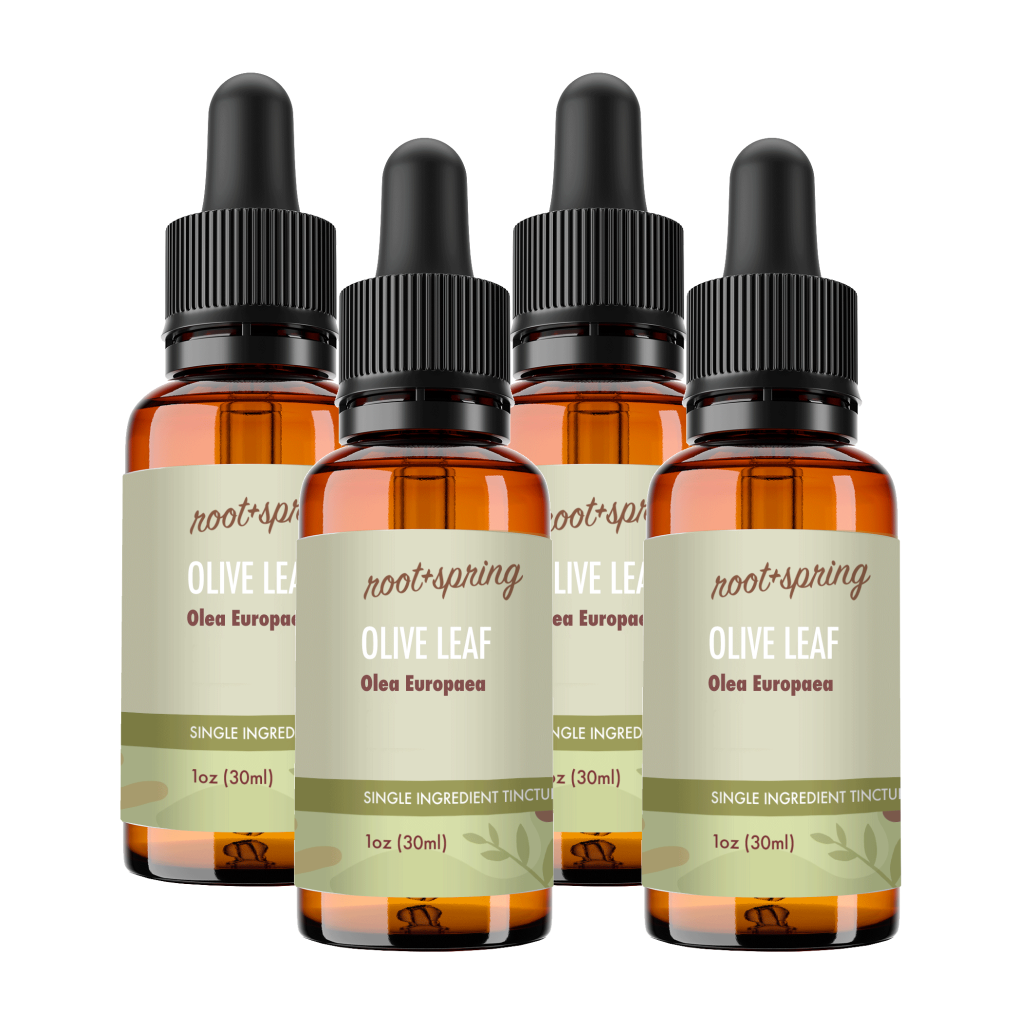 image of Olive Leaf 4pk