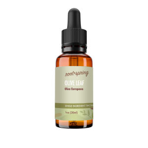 image of Olive Leaf (Olea Europea) – Liquid Extract (Tincture)