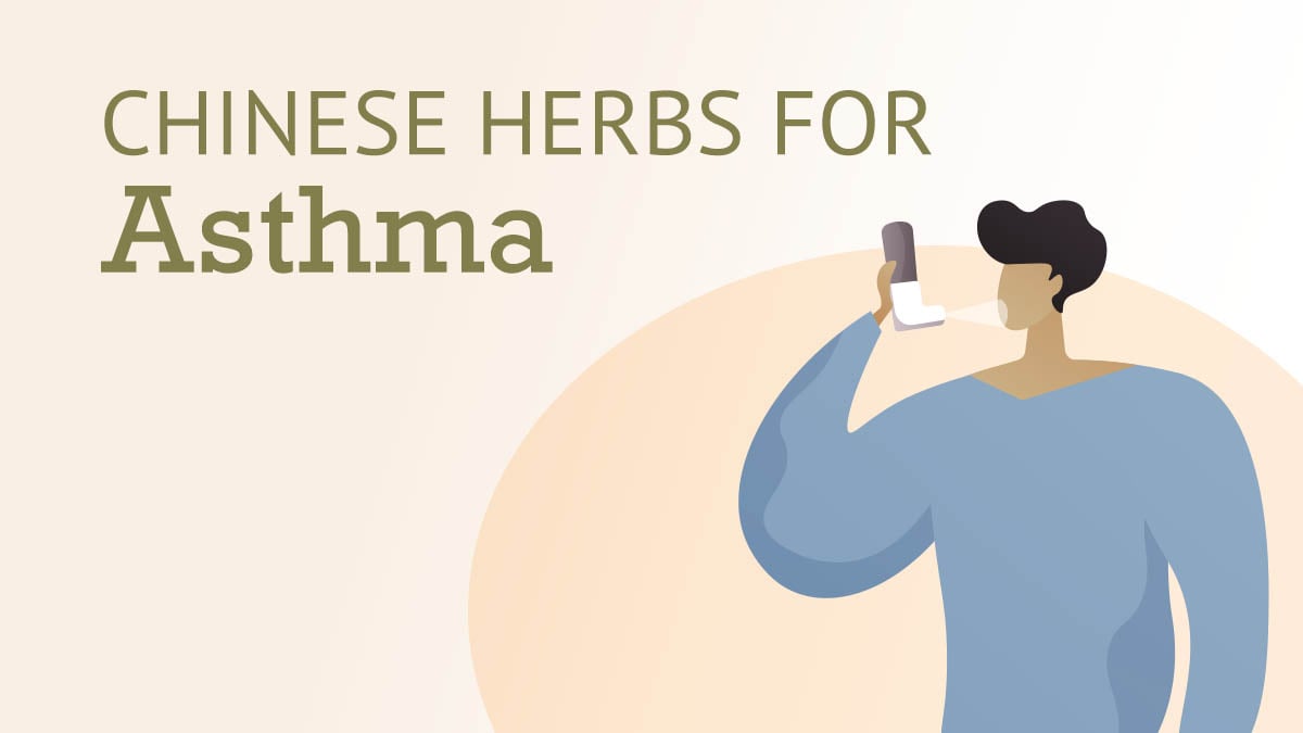 Chinese Herbs for Asthma