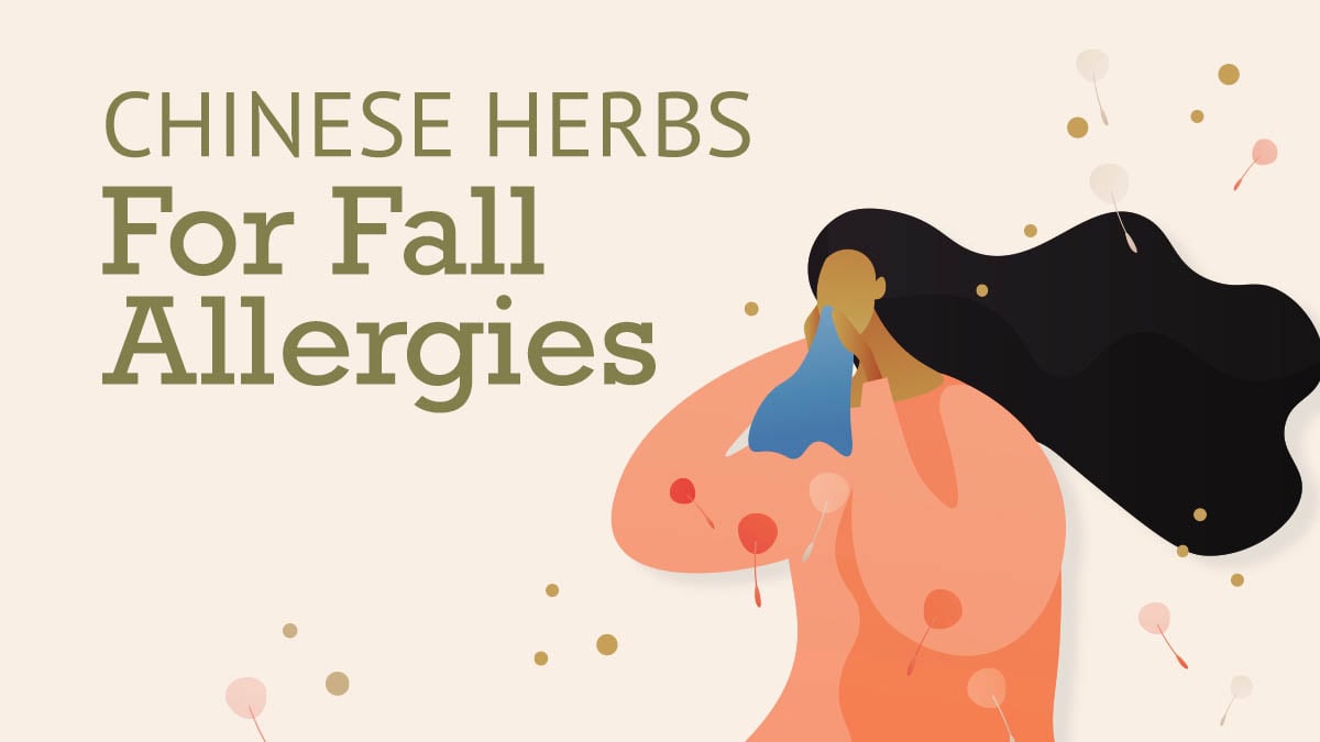 Chinese Herbs for Fall Allergies 